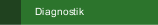 Diagnostik